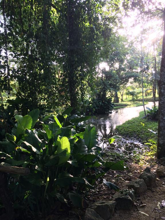 Finca Vallescondido El Caobano Ngoại thất bức ảnh